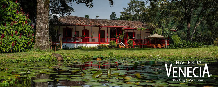 Hacienda Venecia Coffee Tour